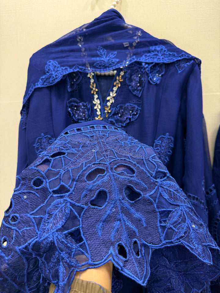 Pakistani chiffons