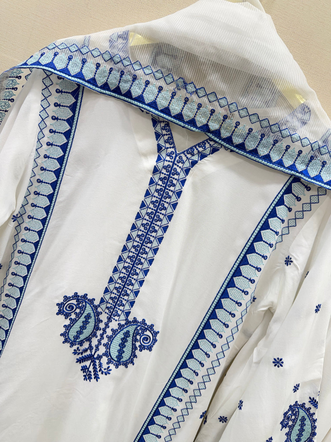 Pakistani viral co-ord set 3118