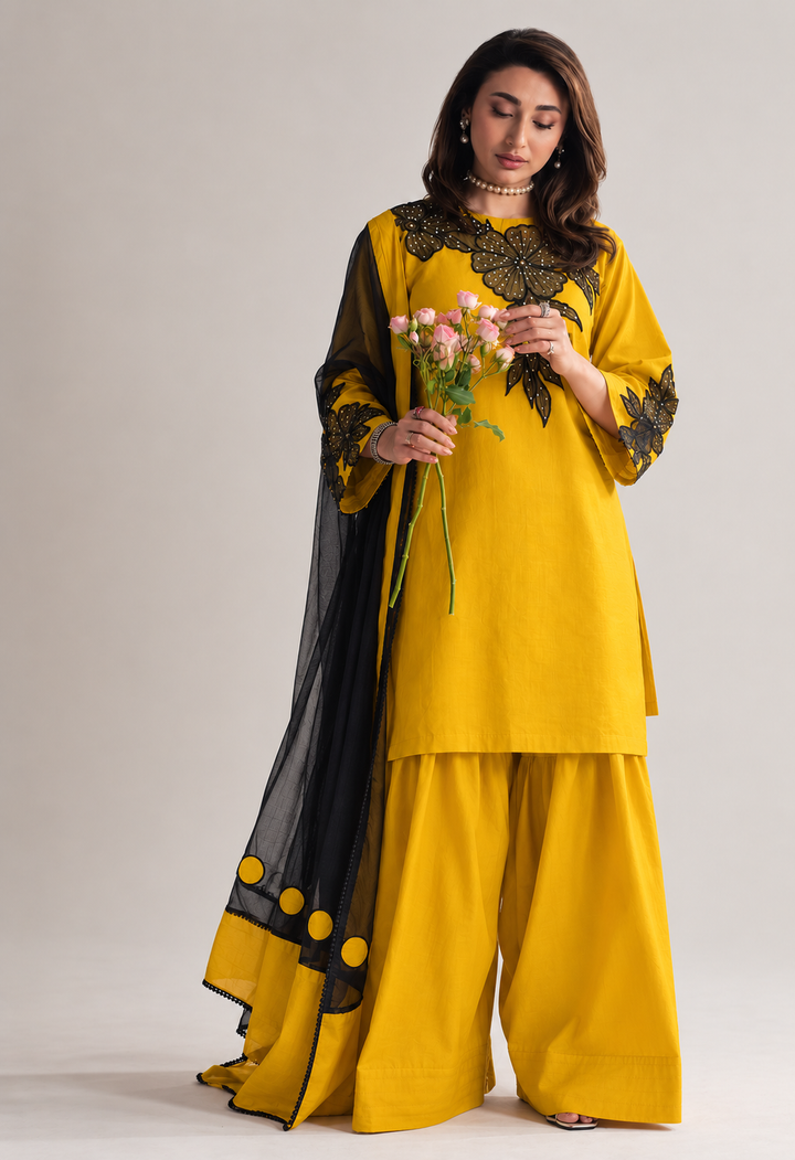 Designer Farshi Salwar Suits