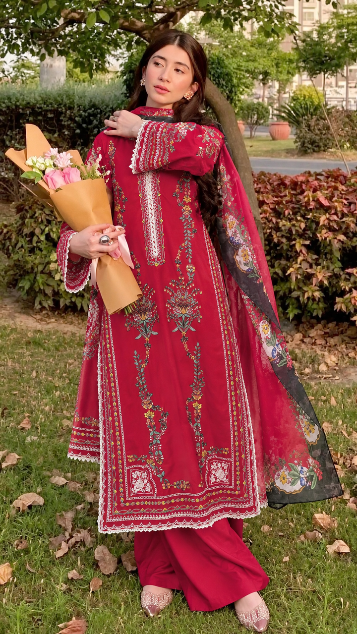 Premium Pakistani suits
