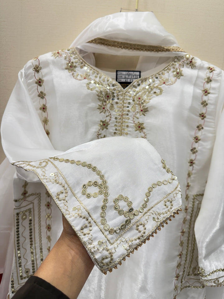 Shimmer Organza suits