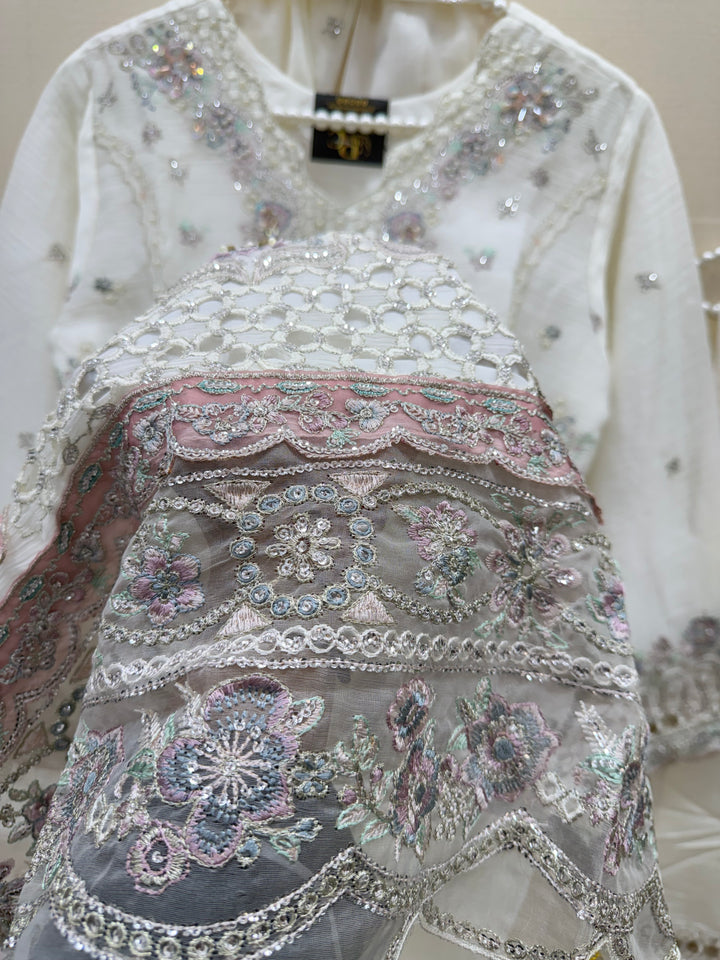Pakistani chiffons 2965