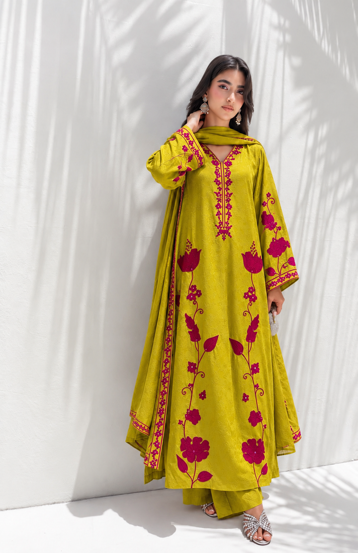 Embroidered Pakistani Suits