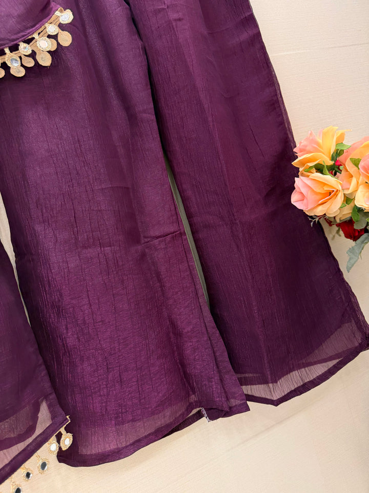 Shimmer Organza Suits