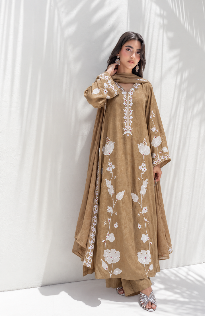 Embroidered Pakistani Suits