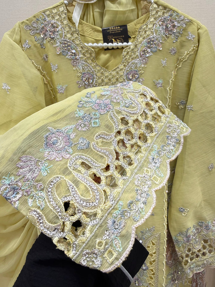 Pakistani chiffons 2965