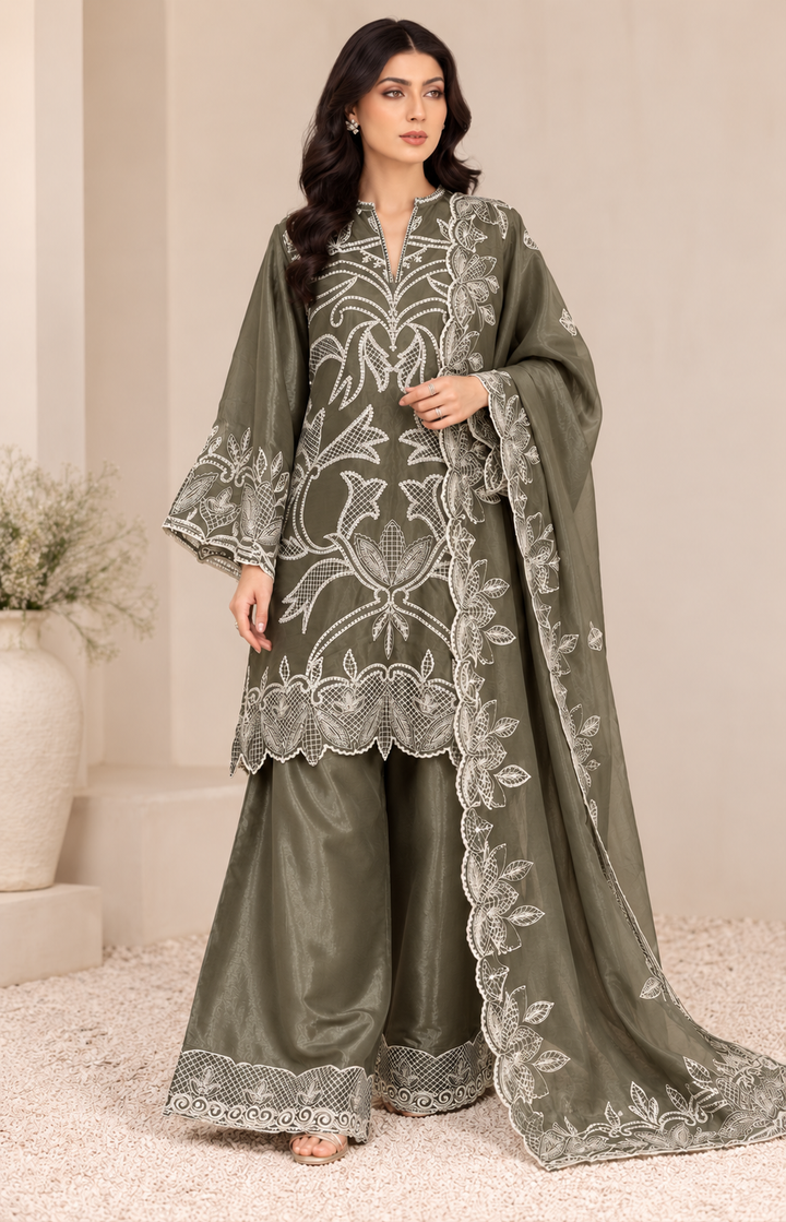 Pakistani Embroidered suits