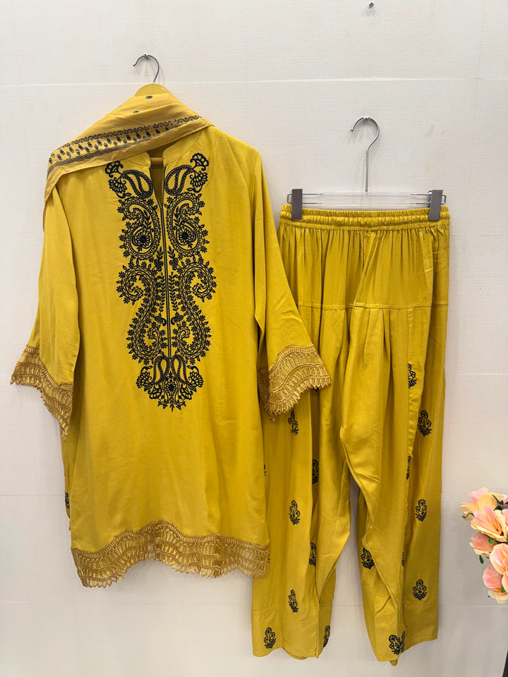 Pashmina Farshi sets