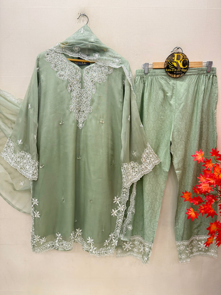 Shimmer Handwork Suits