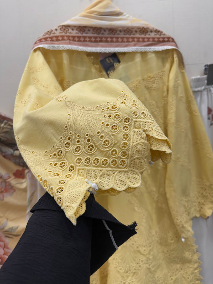 Pakistani Chikankari Suits