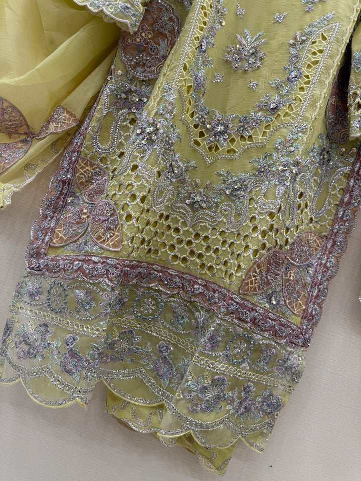 Pakistani chiffons 2965