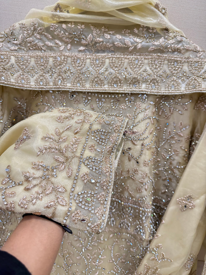 Ethnic gown