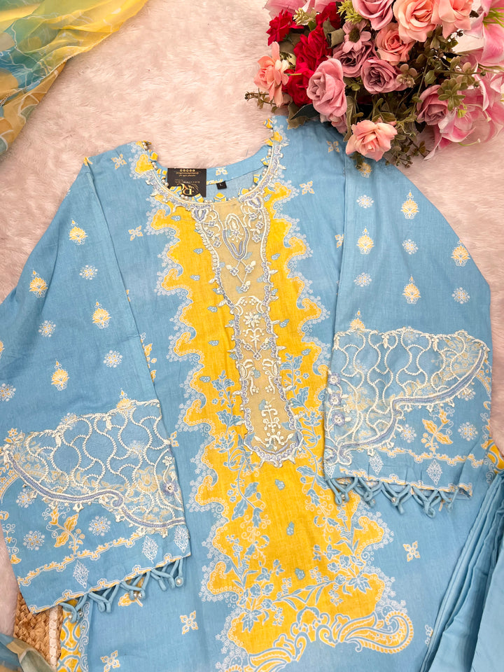 Pakistani formals suit 2751