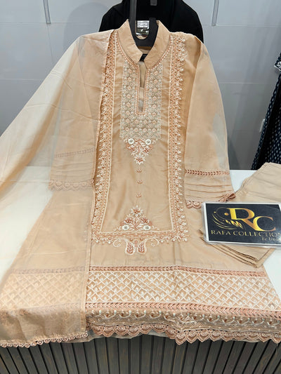 Organza Handwork Suit 1414