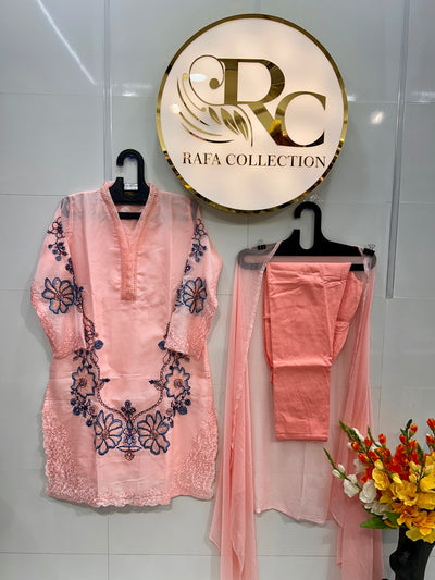 Karachi organza suit 1401