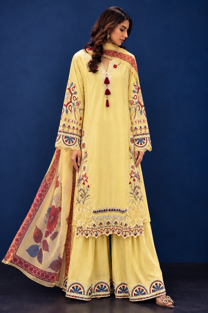 Embroidered Cutwork Suits