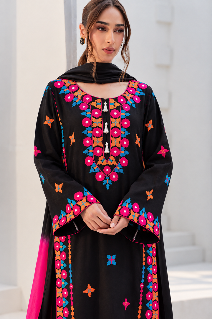 Kashmiri Embroidered Suits