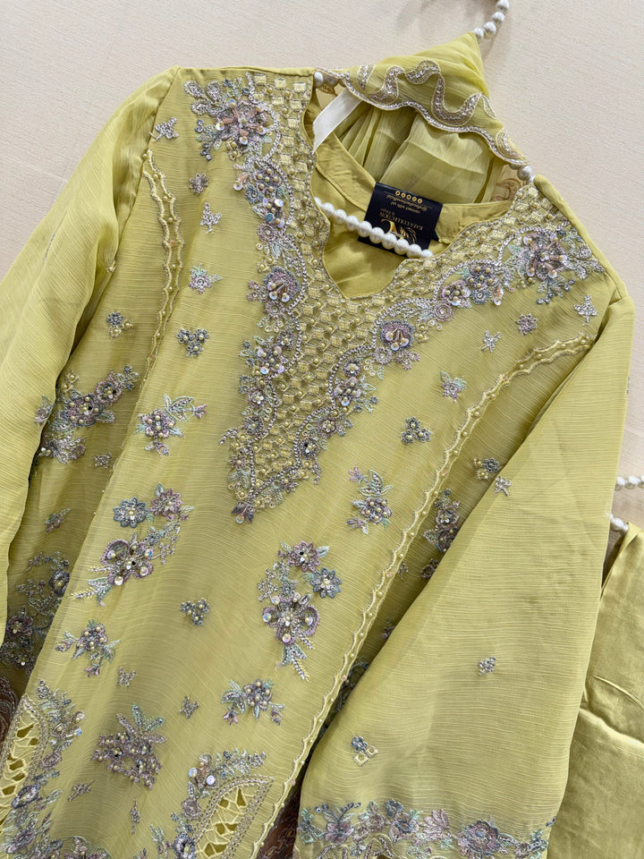 Pakistani chiffons 2965