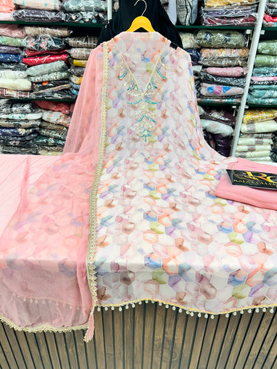 Organza Handwork Suits 2251