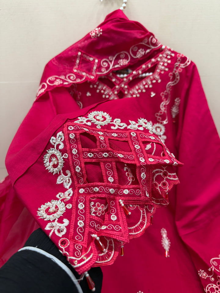 Pakistani Cutwork Suits