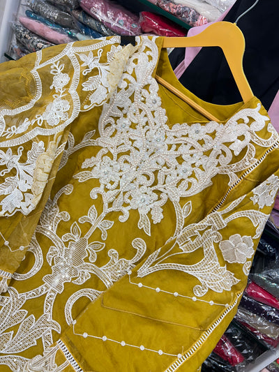 Pakistani Organza Suit 115416