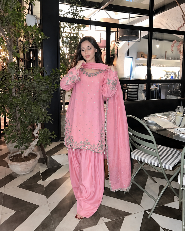 Handwork Farshi Salwar Suits