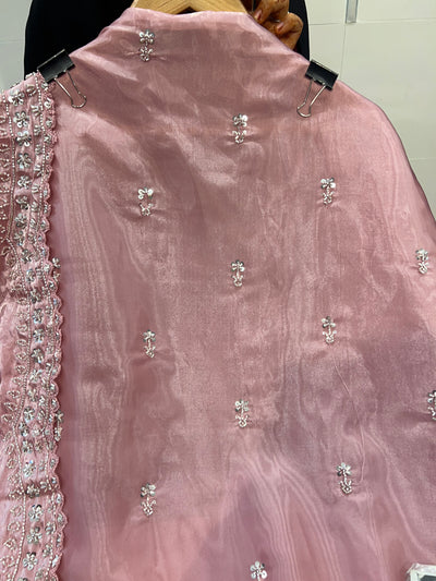 Organza Handwork suit 2254