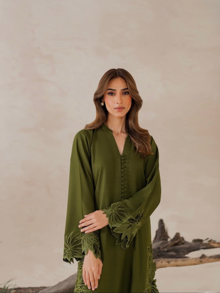 Cutwork embroidered pakistani suits