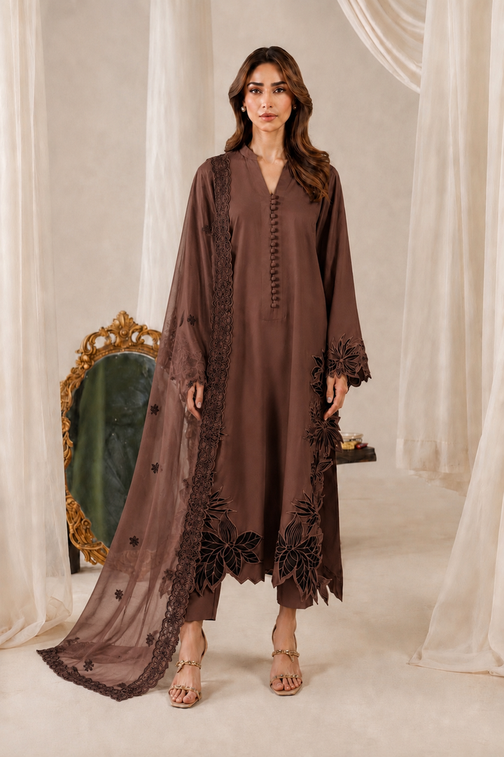 Cutwork embroidered pakistani suits