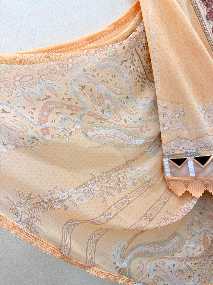 Pakistani patch work suit