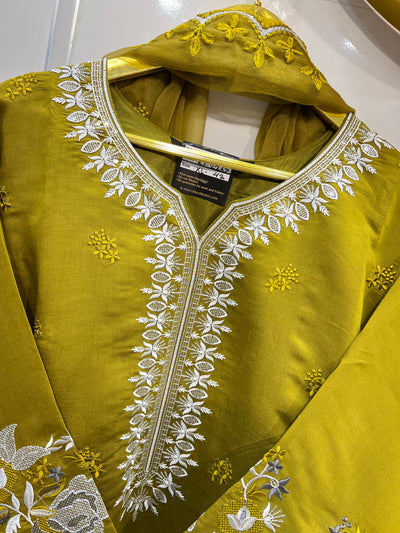 Pakistani Formals 2167