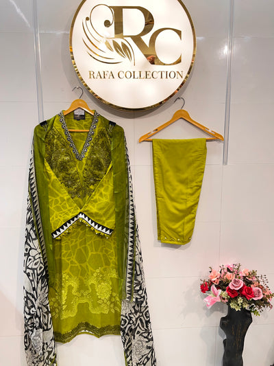 Pakistani suits 2517