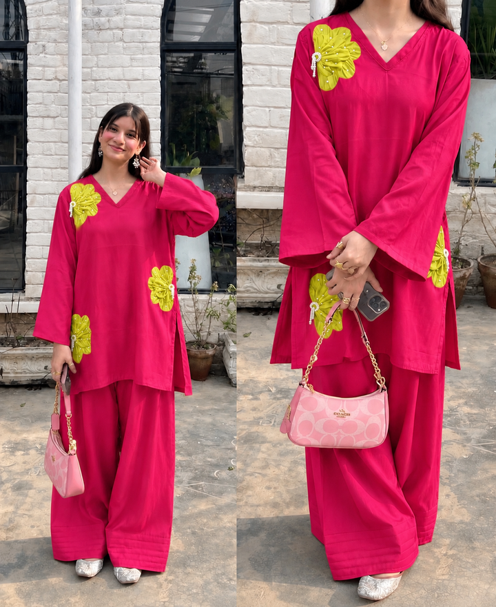 Appliqué Farshi Co-ords