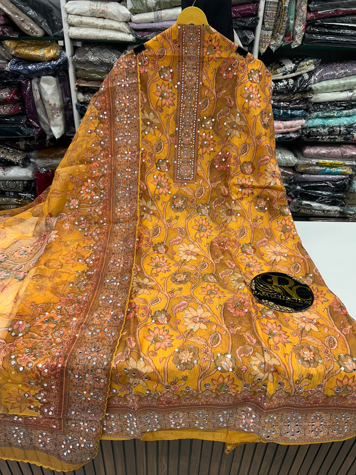 Organza Mirror Work Suit