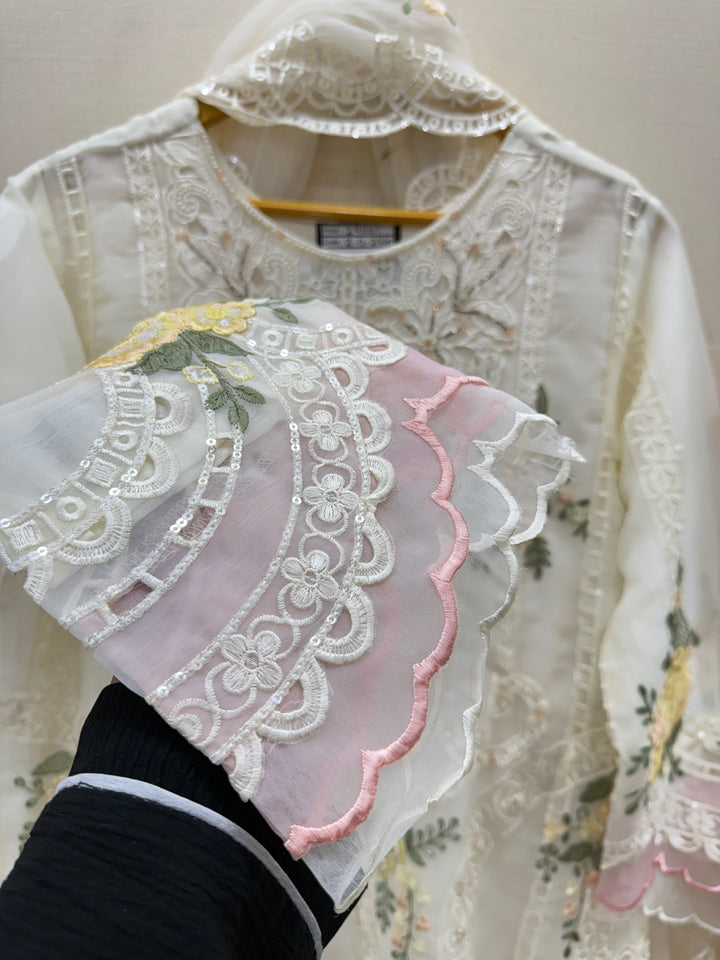 Pakistani chiffons suit 2960