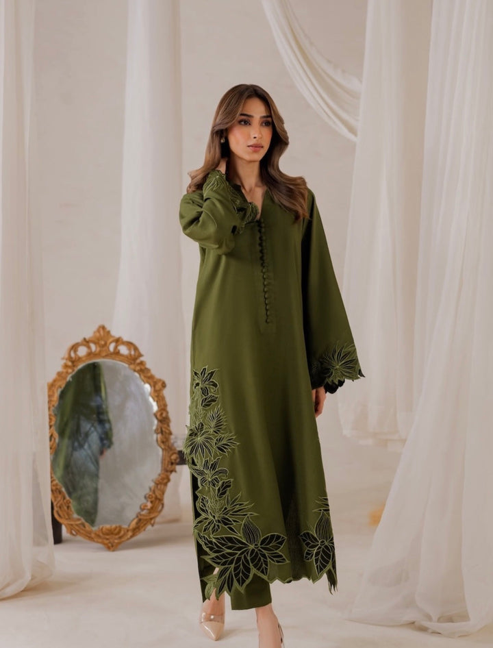 Cutwork embroidered pakistani suits