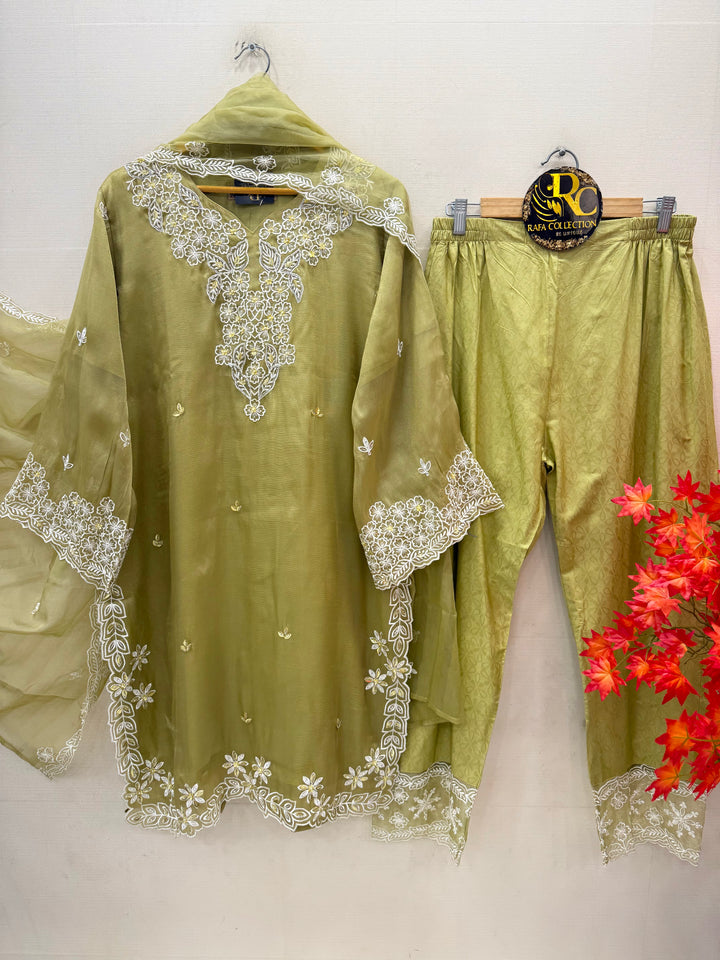 Shimmer Handwork Suits