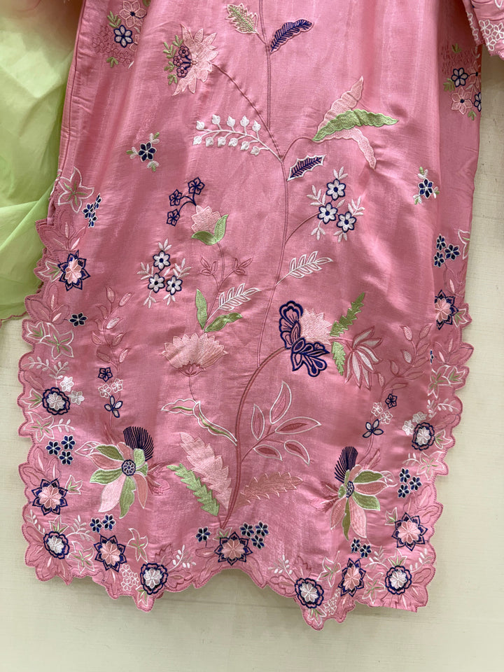 Pakistani Embroidered suits