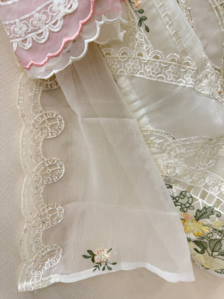 Pakistani chiffons suit 2960