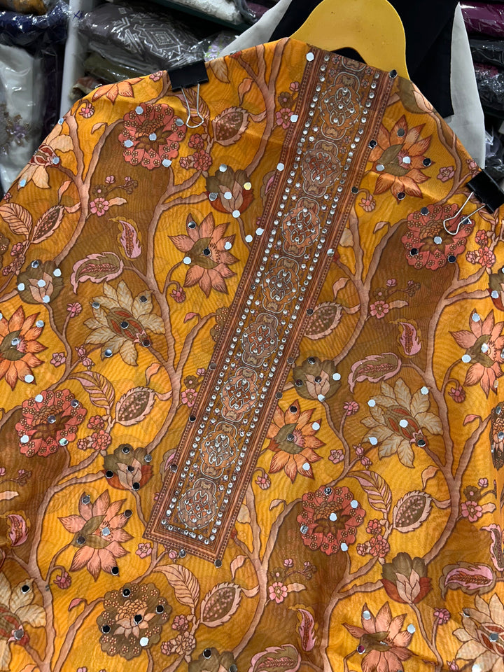 Organza Mirror Work Suit