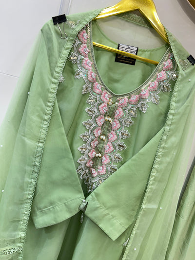 Pakistani Handwork Suit 1428