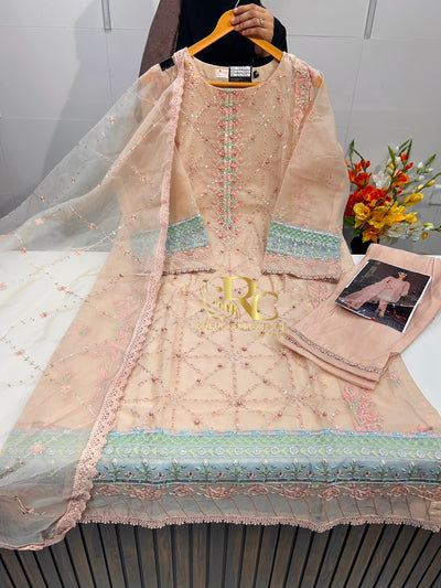 Organza pakistani suit 106