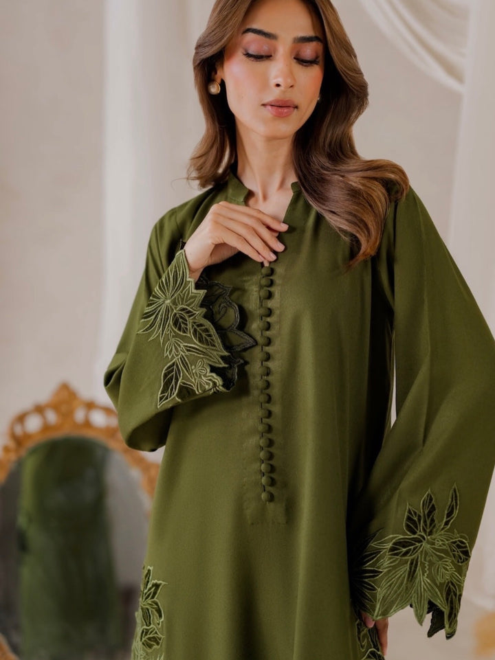 Cutwork embroidered pakistani suits