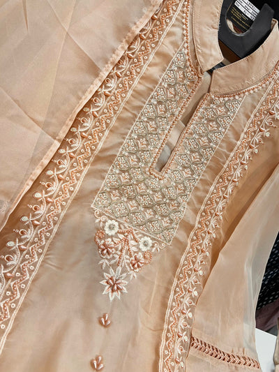 Organza Handwork Suit 1414