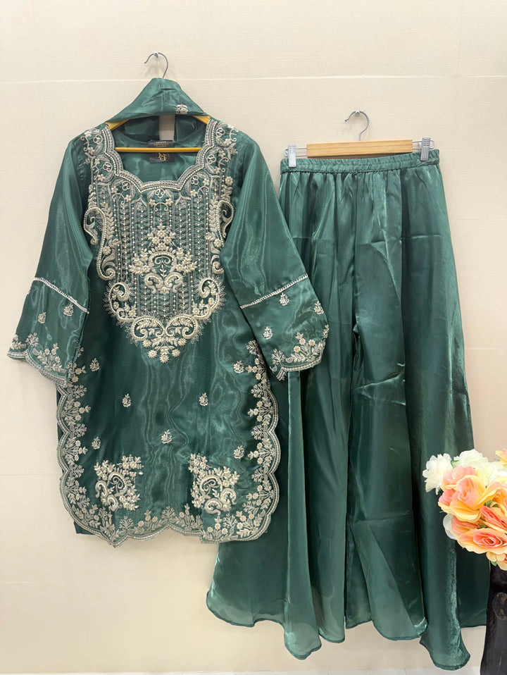 Shimmer Organza suits