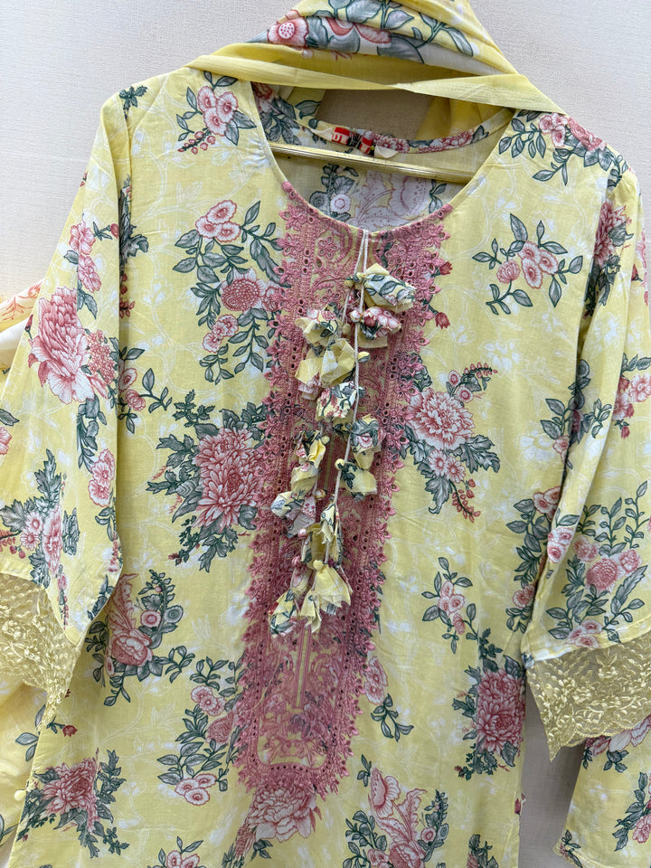 Embroided Pakistani suits